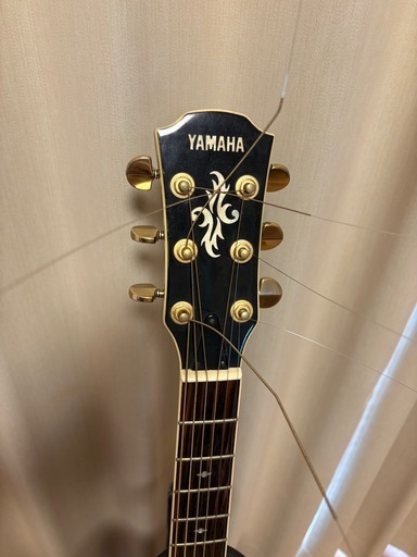 YAMAHA APX-10
