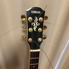 YAMAHA APX-10
の画像
