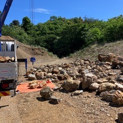 岐阜石、チャート石、ドライガーデン、ココスヤシ、ユッカロストラータの画像