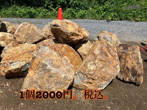 岐阜石、チャート石、ドライガーデン、ココスヤシ、ユッカロストラータ 岐阜石、チャート石、ドライガーデン、ココスヤシ、ユッカロストラータ