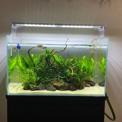 ADAキューブガーデン　60センチ水槽フルセットの画像