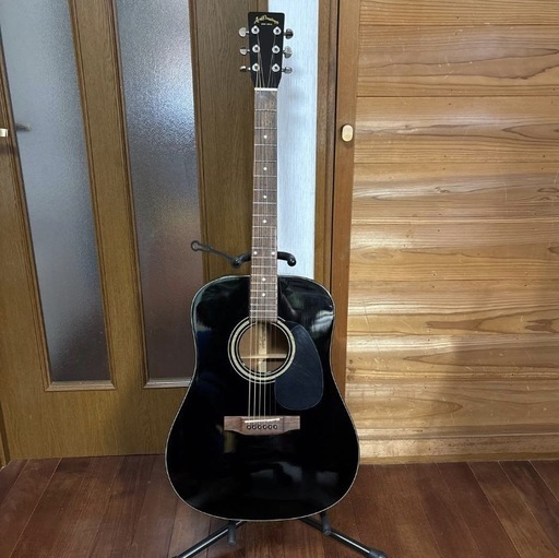 トップ単板！Aria  Dreadnought AD28BK