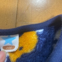 100サイズ　恐竜　ベストの画像