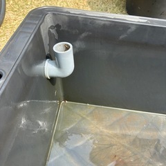 トロ舟　　メダカ　ビオトープにの画像