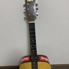  ギターSWS Mythology Model: F-100の画像