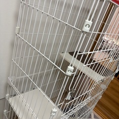 猫　ケージの画像