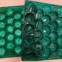 緩衝材　果物用の画像