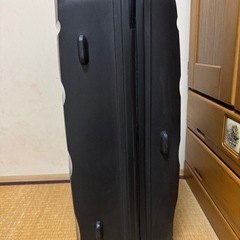 キャリーケース　ソフトの画像