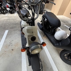 HONDA  bite  バイト 原付の画像