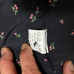 ワンピースの画像