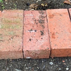 レンガ　　25本セットの画像