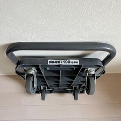 台車100kgの画像