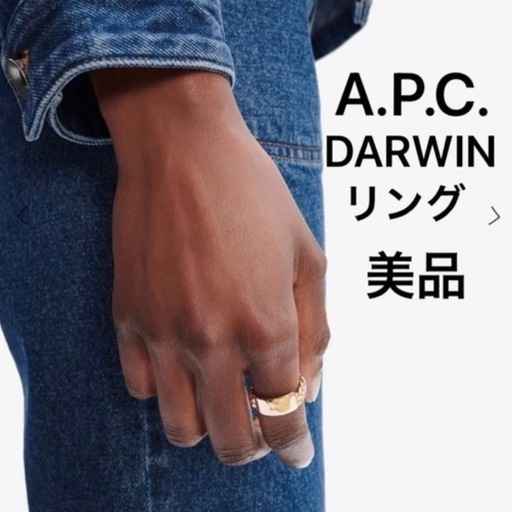 極美品　A.P.C.　Darwinリング　チェーン　ロゴプレート　ゴールド
