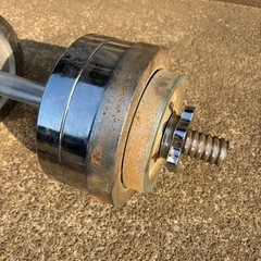 筋トレ　ダンベルの画像