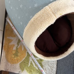 犬の寝床の画像