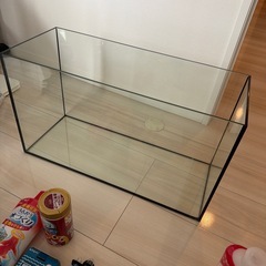 金魚グッズの画像