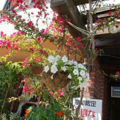 お昼のバイト募集の画像