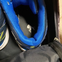 屋内スポーツ用シューズ（卓球）とシューズケースの画像