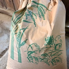 くず米　玄米、ヒノヒカリ、農薬未使用　令和7年産　約20kg   福岡県糸島市で栽培の画像