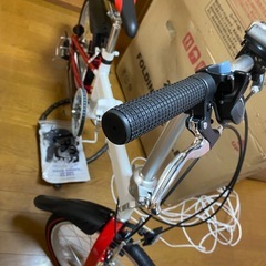 今月まで、20インチ折りたたみ自転車の画像