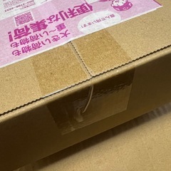 ポケセン産ポケモンカードゲームMEGA ハイクラスパック「MEGAドリームex」ボッの画像