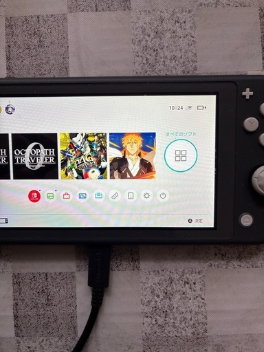 Switchライト本体(ソフト2本)