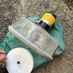 フリーホルソーの画像