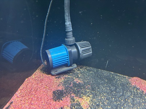 アクリル水槽