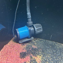 アクリル水槽の画像