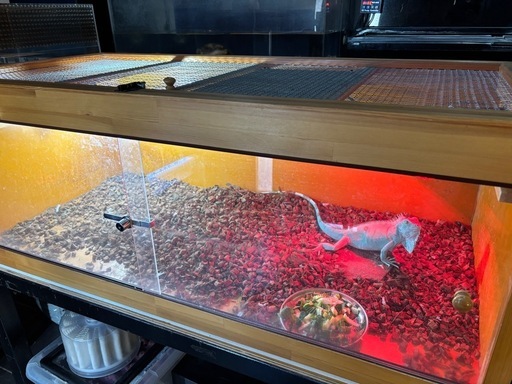 爬虫類ケージ