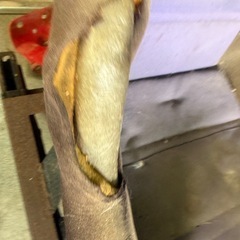 メーカー不明フルバケの画像