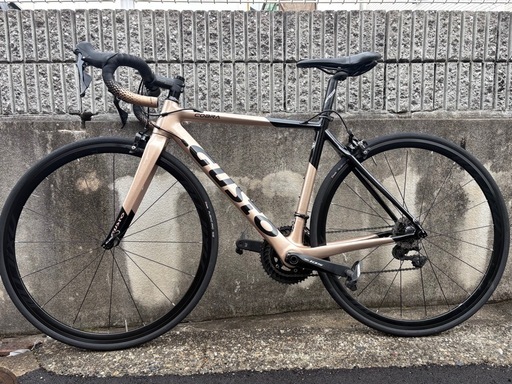 2023年製 GUSTO COBRA SPORT ※ペダル無し