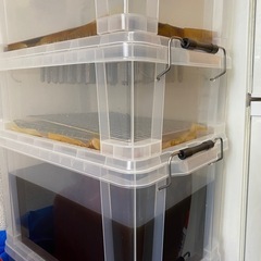 【WVO】廃油濾過システム【天ぷらカー】の画像