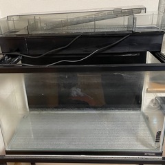 60cmフレーム水槽+上部フィルター+水槽専用スチールラックの画像