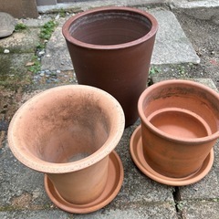 【無料】植木鉢3点の画像