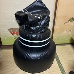 JanTeelGOサンドバッグ大人用　　の画像