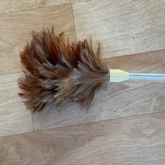 毛叩きの画像