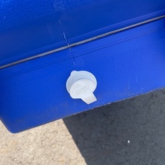 Coleman　クーラーボックス　 の画像