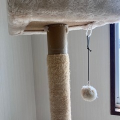 キャットタワーの画像