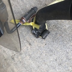 スクリーンの画像