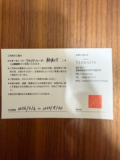 ホテル テラスタ ペア宿泊券（宮崎県都城市）