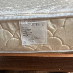 セミダブルベットマットの画像