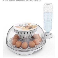 自動孵卵器の画像