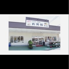 宇部厚南　メダカ　めだかの画像