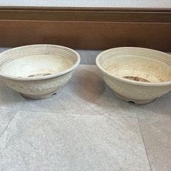 ホワイト系 プランター 10点セットの画像