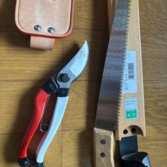 剪定鋸と鋏の画像