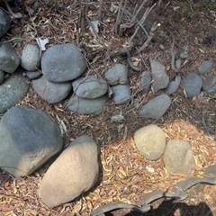 石　　　庭石　庭園　ガーデニング　盆栽石の画像