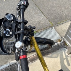 超美品 ブリヂストン｜BRIDGESTONE 24型 子供用自転車 エクスプレスジュニア (ゴールド＆ブラック/外装6段変速) EX46 の画像