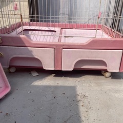 大型猫ケースの画像