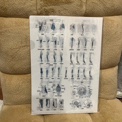 本日取引可能な方‼️クリアファイルの画像